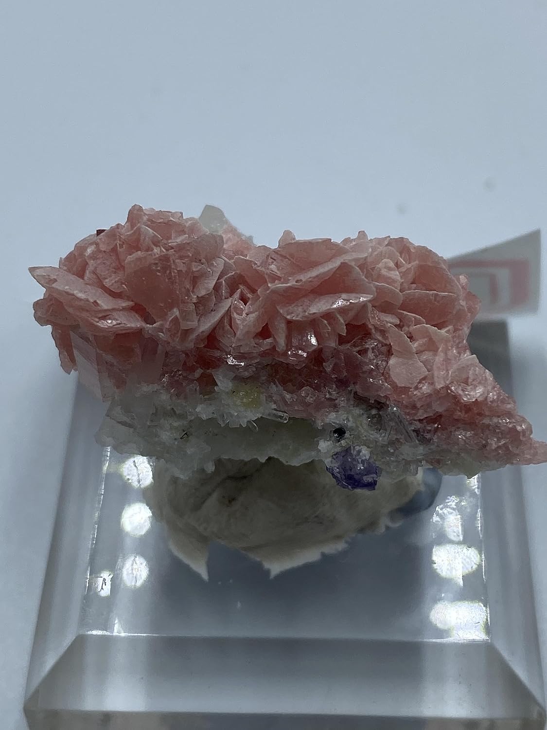 Natural Rhodochrosite with Quartz Mineral Crystal Specimen from China Rare Rough Stone Display Collection
