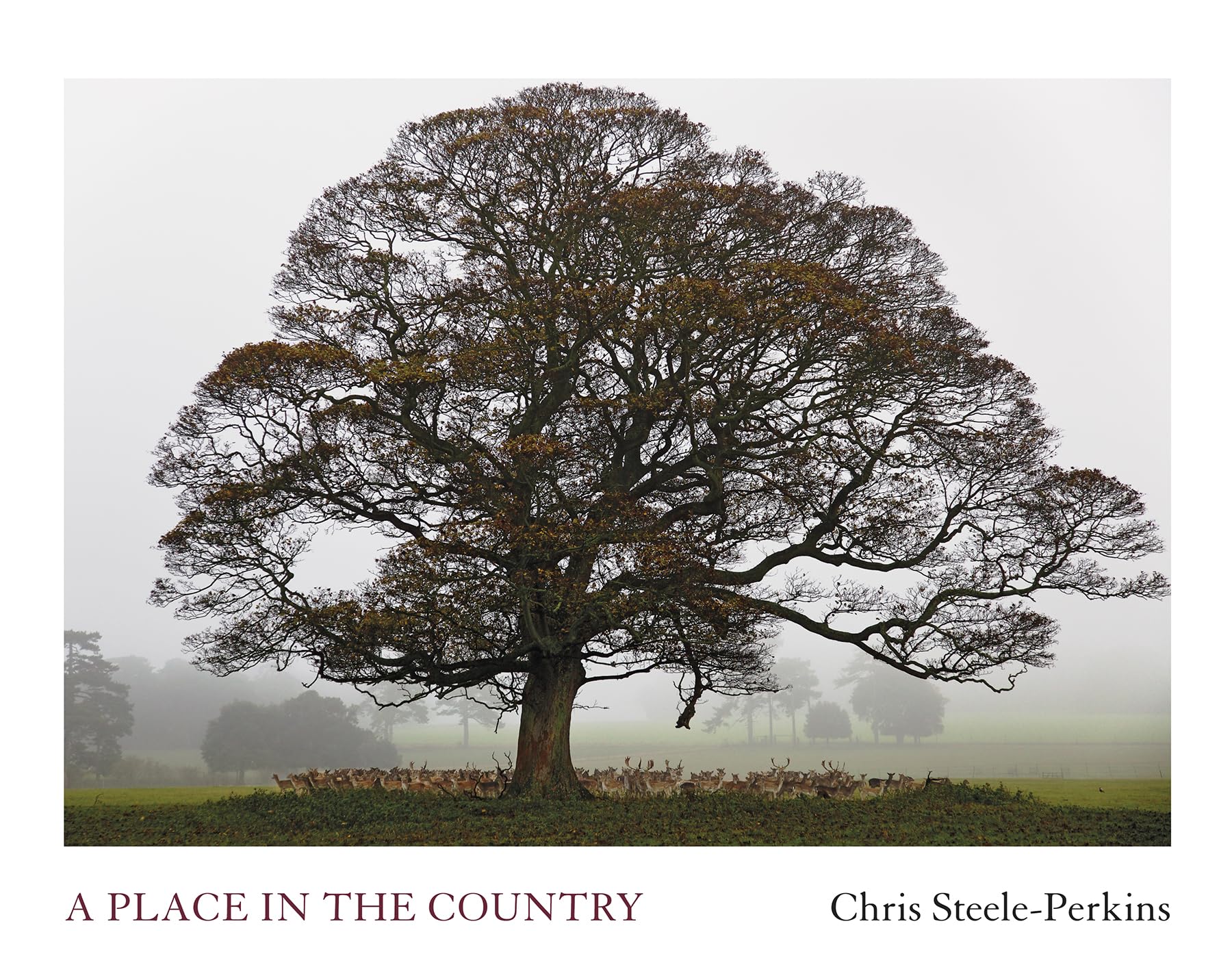 A Place in the Country