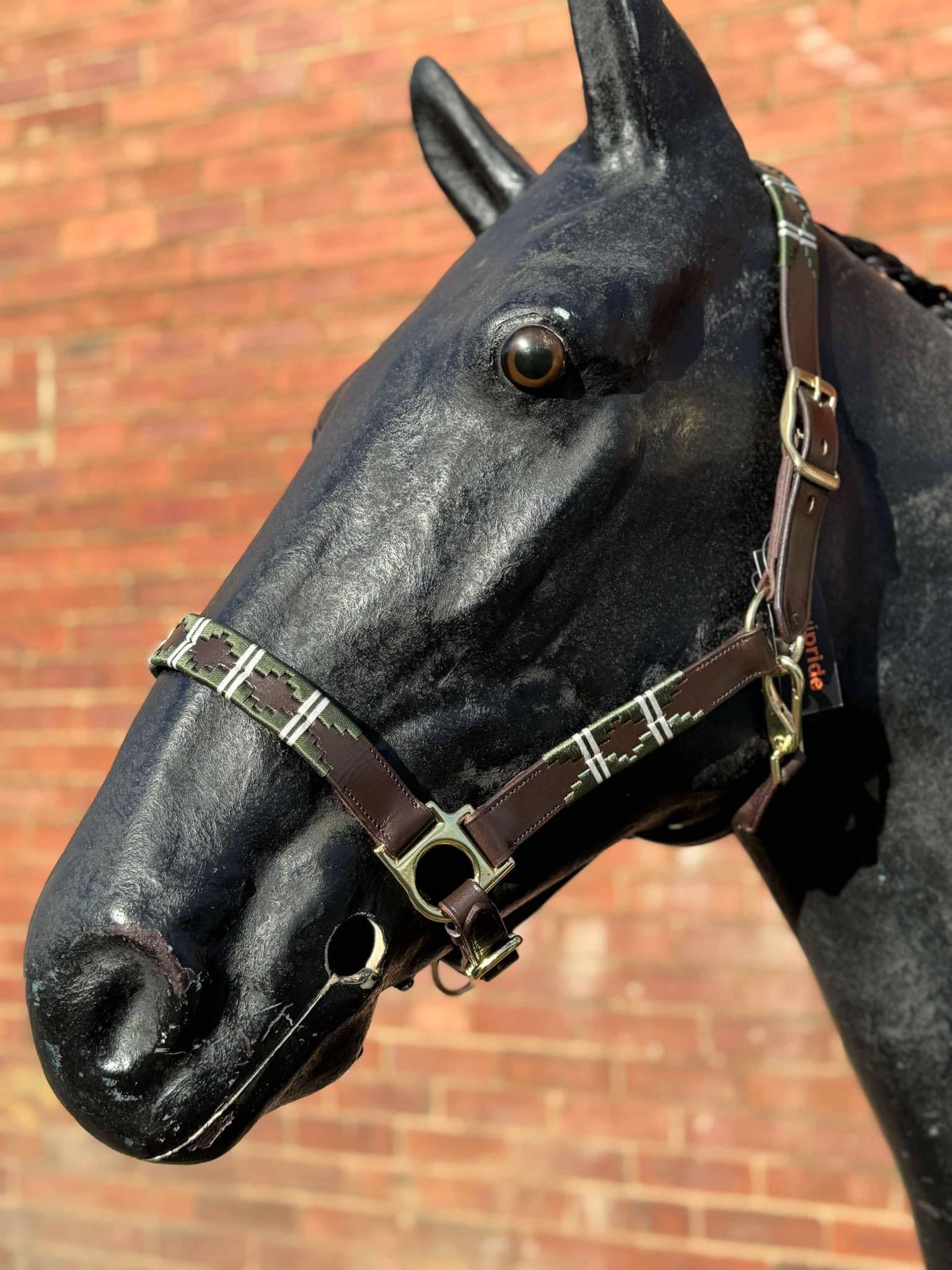 Argentina Polo Leather Horse Headcollar Halter, Embroidered, 76.2 cm, Brown Green/wHITE (Cob)