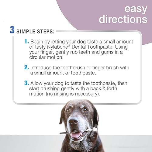 Miniatura 6 de Nylabone Advanced Oral Care - Kit dental para perros mayores con cepillo de dientes de cerdas suaves y acolchadas, 3 unidades
