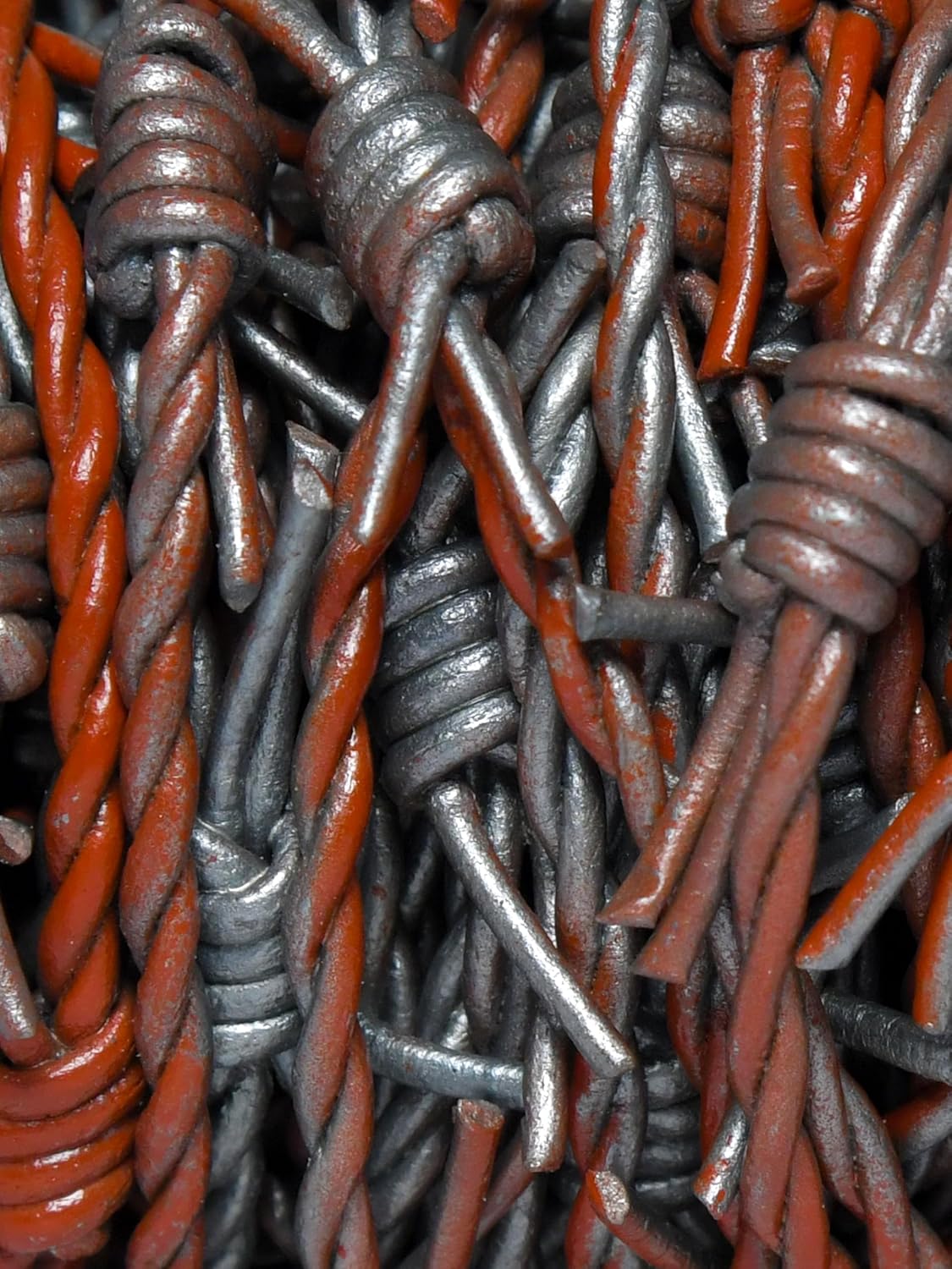 Artificial Barbed Wire Ribbon of Leather, Rusted Gray image 3