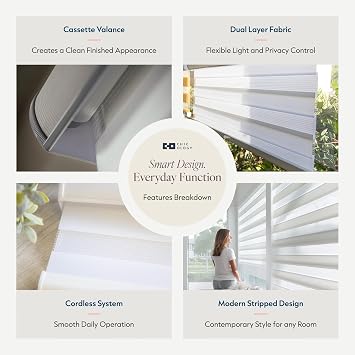 CHICOLOGY Zebra Blinds Cordless, Light Filtering, White, 22Wx72H