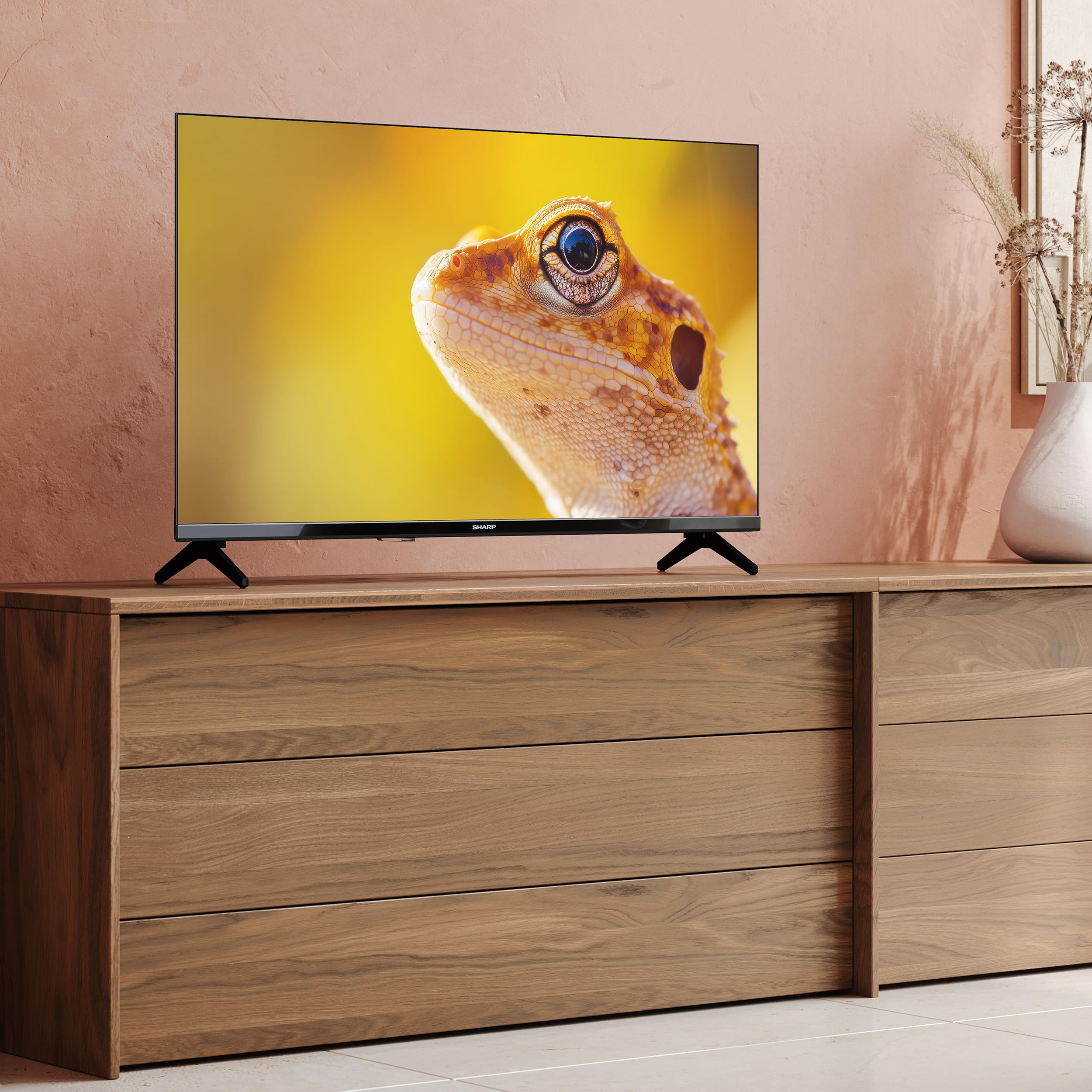 SHARP 32HA1705E 32 Zoll Fernseher - LED TV mit HD Auflösung und integriertem Triple-Tuner DVB-C/-T2/-S2 (2026)