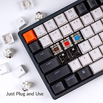 Amazon.com: Keychron K2 75% Layout 84 Keys Hot-swappable