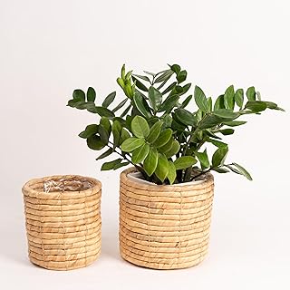 Set of 2 Water Hyacinth Planter Pot Indoor for Plant, Flower, Succulent, Basket Planter, Decorative Pot Cover (Natural)