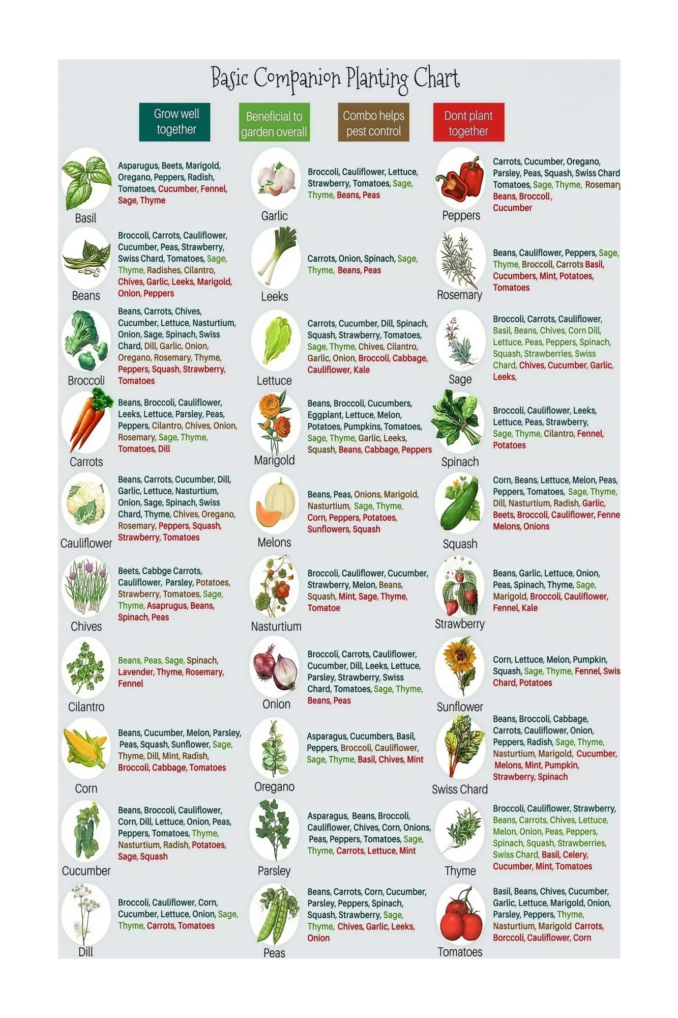 SSOPTMCB Laminated Companion Planting Chart Guide for Vegetable Garden Pest Control with Flowers Herbs(Unframed,12x18inch(30x45cm))