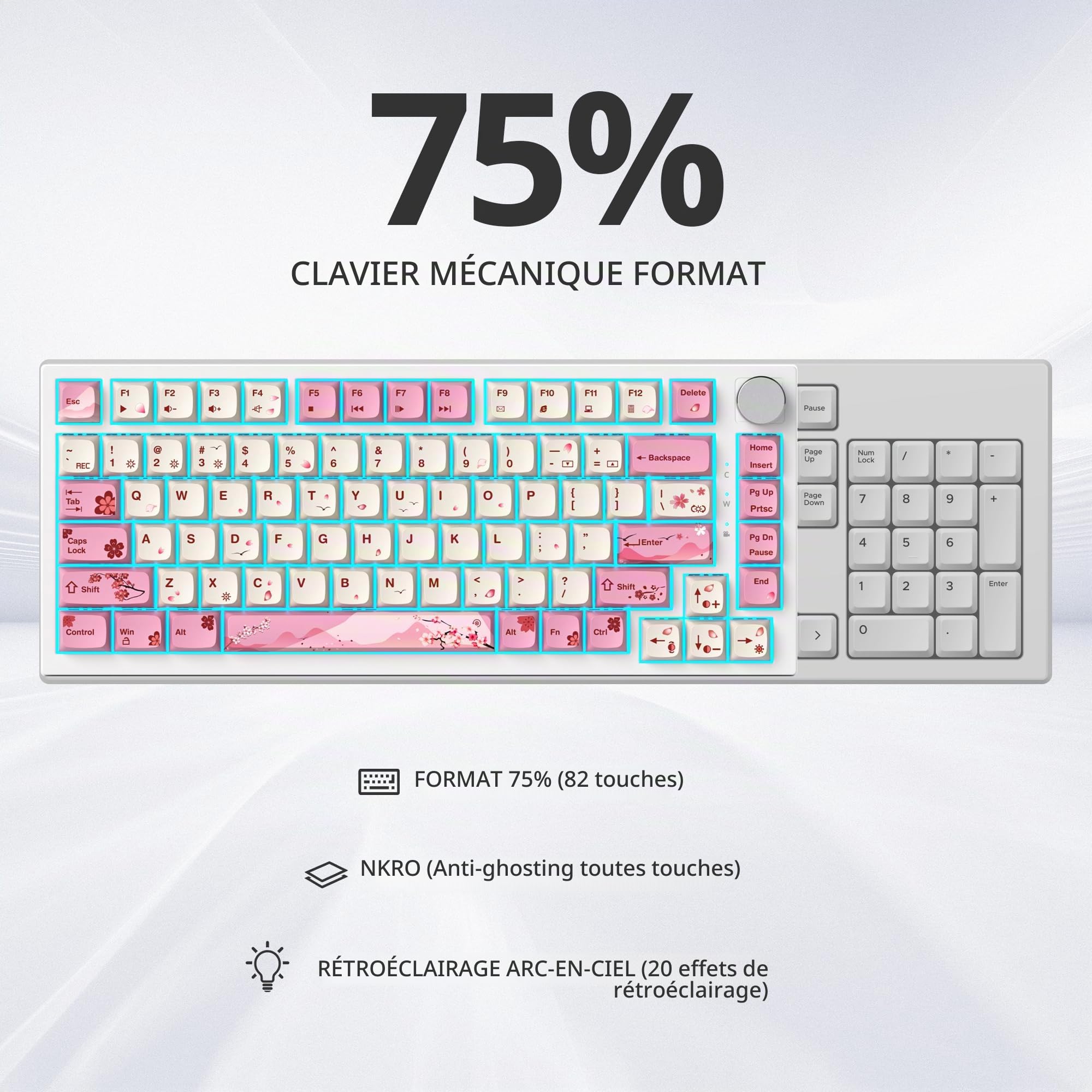 SOLIDEE Clavier de Jeu Mécanique 75% Filaire avec Rétroéclairage RVB, 82 Touches TKL Gasket Remplaçable à Chaud, Compact NKRO avec Bouton de Volume (82 Flower)