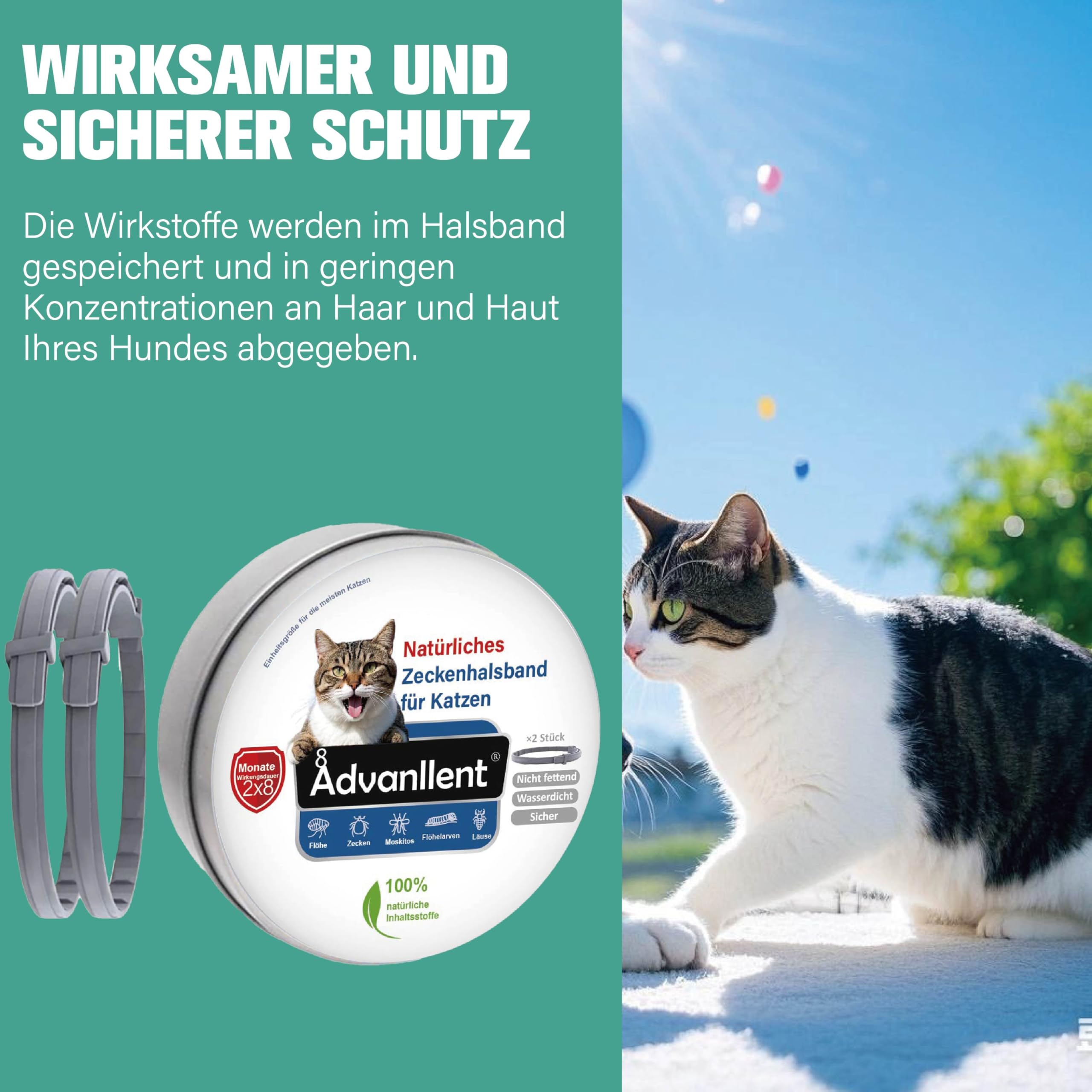 Zeckenhalsband für Katzen, Natürliches Flohhalsband für Katzen ab 12 Wochen, Zeckenschutz Flohschutz Halsband wasserdich
