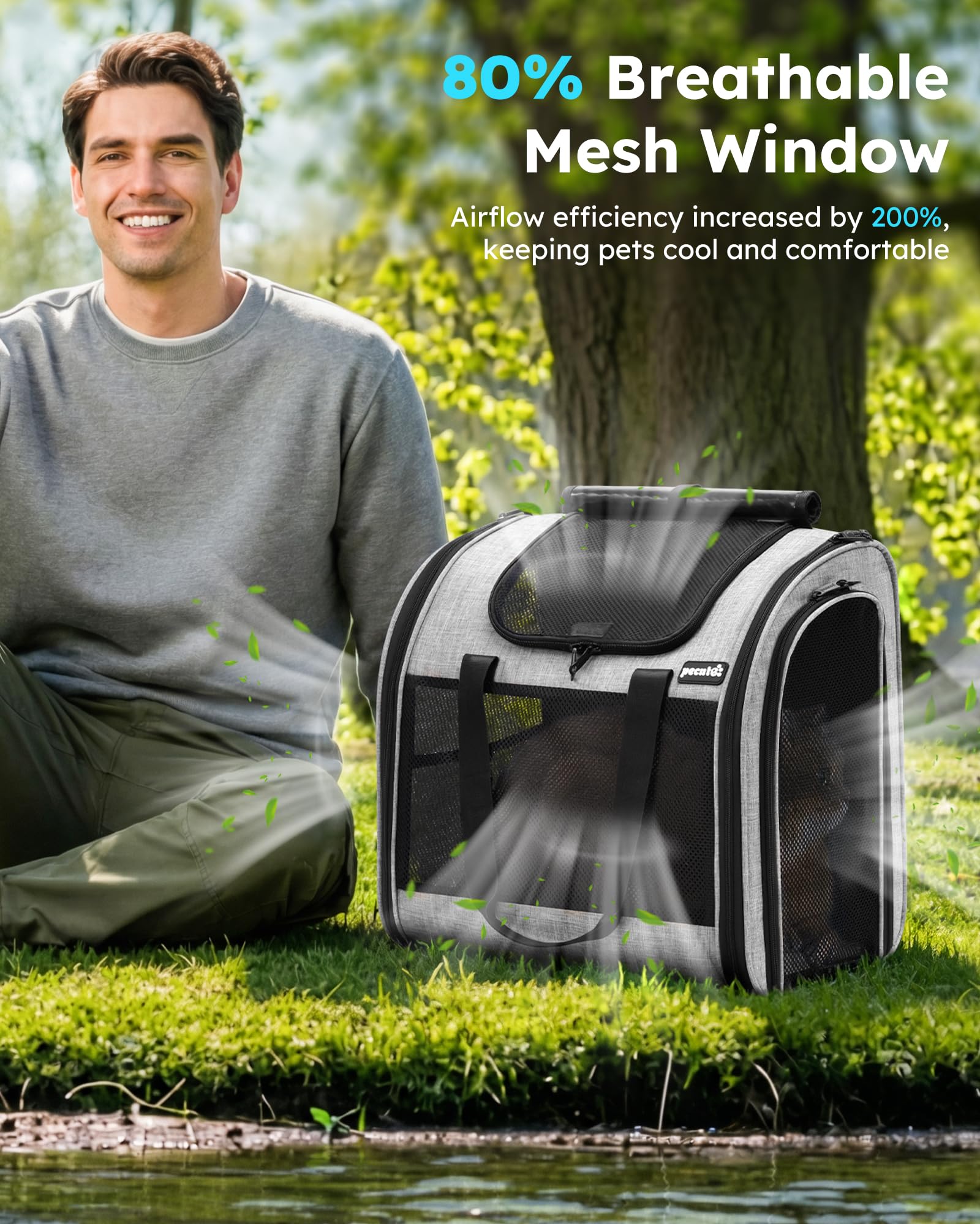 pecute Mochila transportadora para Gatos con diseño ventilado, Mochila Plegable para Mascotas para Gatos y Perros, Mochila para Perros con Correa de Seguridad