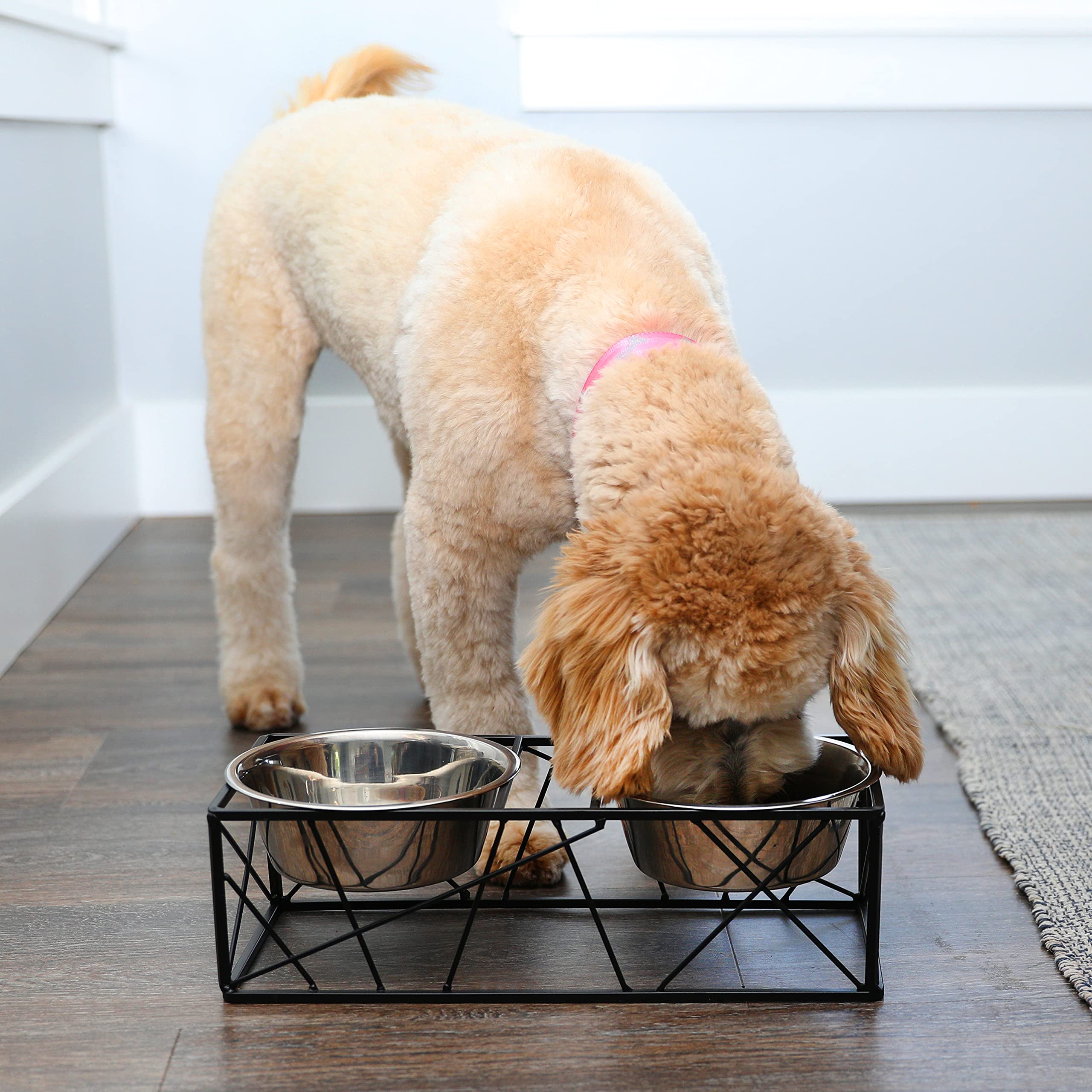 Barkley & Evans Elevated Double Pet Feeder, Removable Stainless Steel