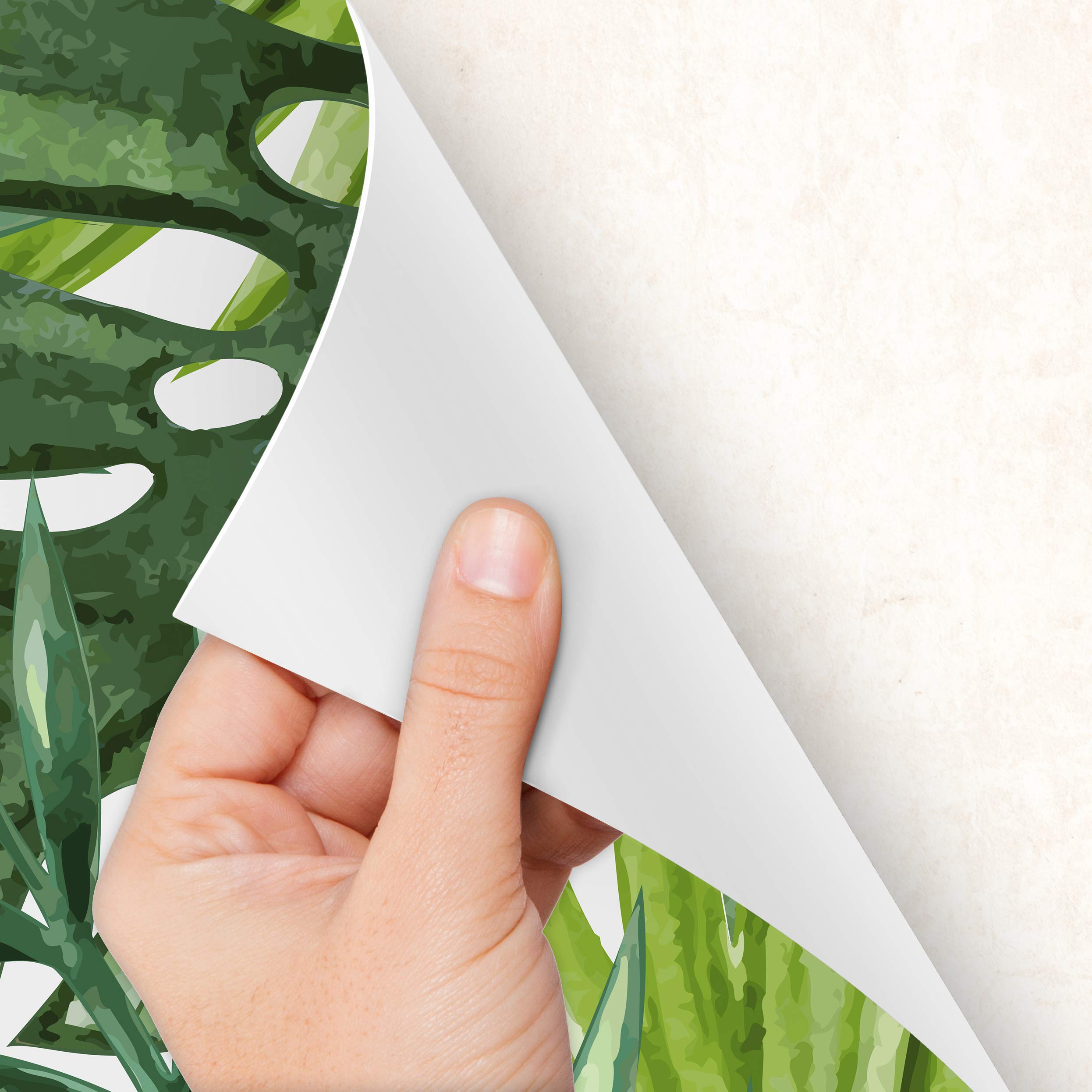 MEGADECOR Klebefolie fr Tren, dekorativ, Motiv: grne Pflanze,  Adan-Kordel, Monstera leckere : Amazon.de: Kche, Haushalt & Wohnen