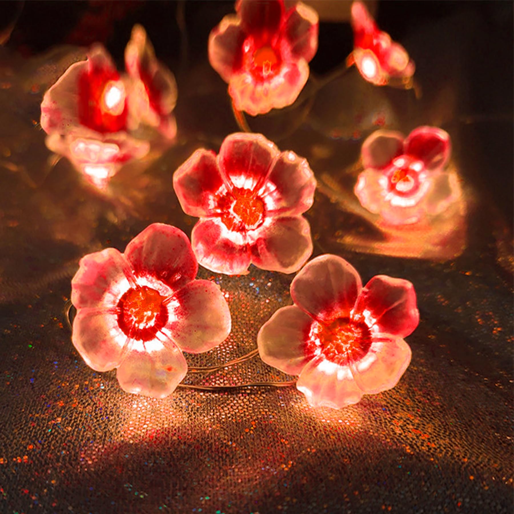 View 3