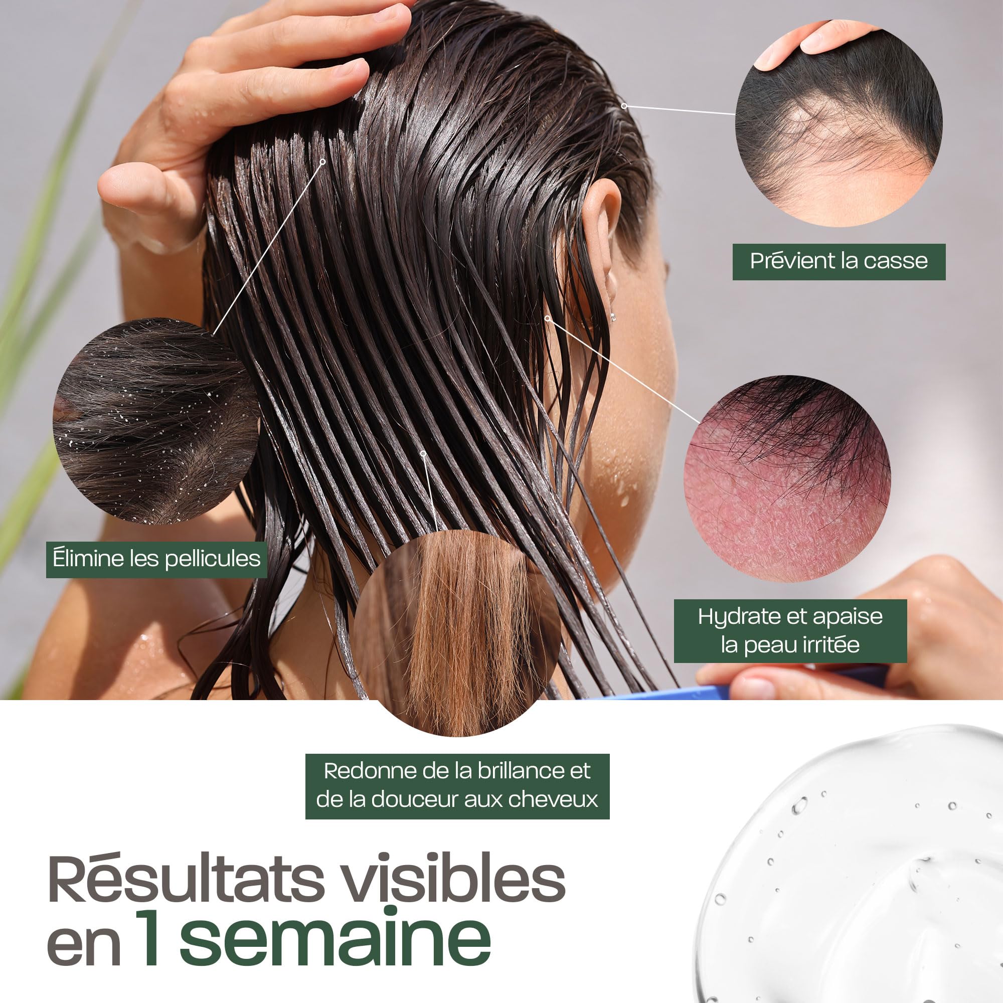 Gel Aloe Vera & Gingembre – Soin Naturel à Base de Feuille Fraîche – Hydratant, Tonifiant & Raffermissant – Visage, Corps, Cheveux – Après-Soleil, Jambes Lourdes – Aloe Écologique (5000)