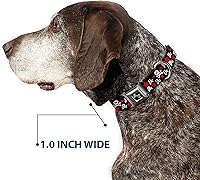 Vista 6 de Buckle-Down Collar de perro con hebilla de cinturón de seguridad, calaveras y estrellas, negro/blanco/rojo, 1 pulgada de ancho, se adapta a cuello