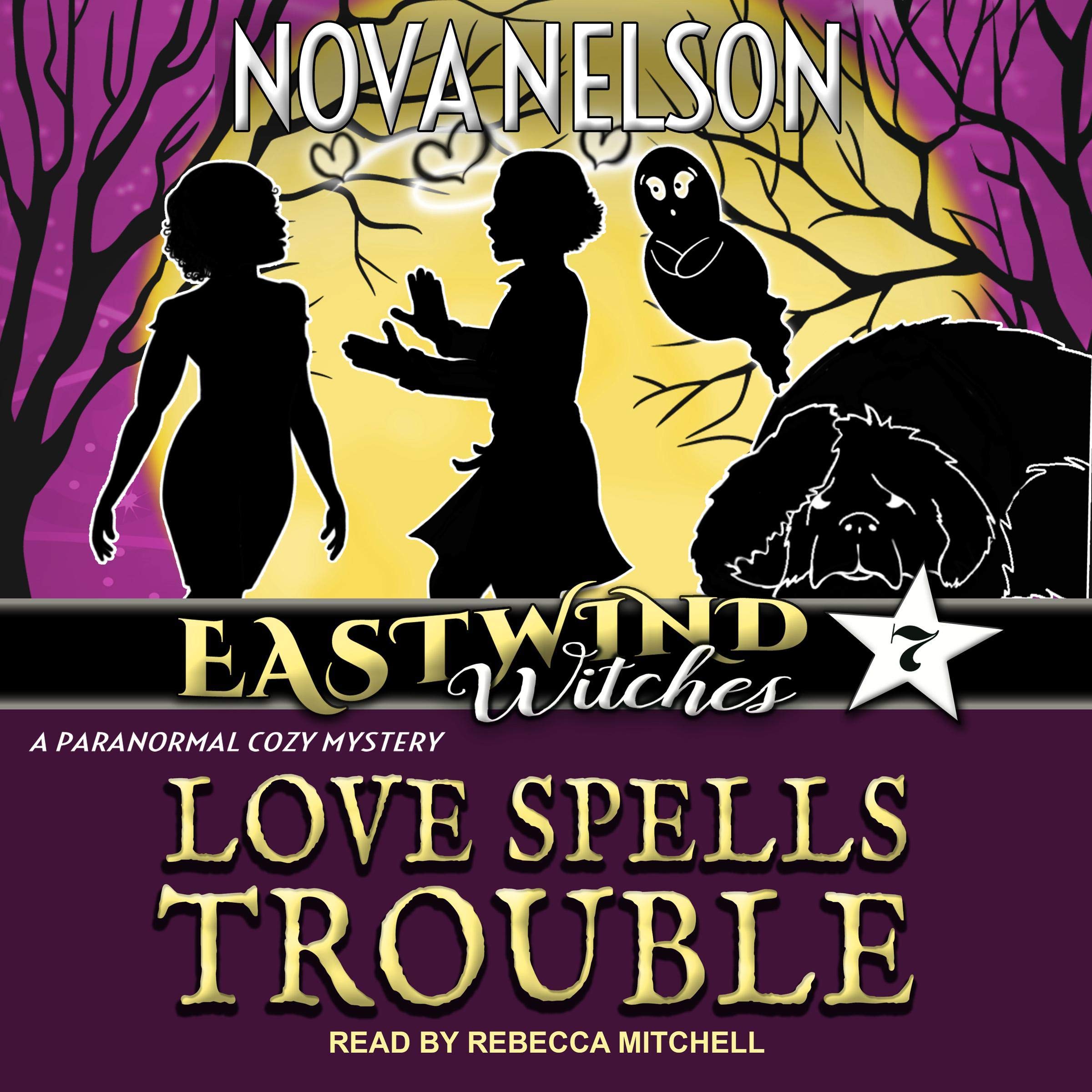 Cover art for Love Spells Trouble