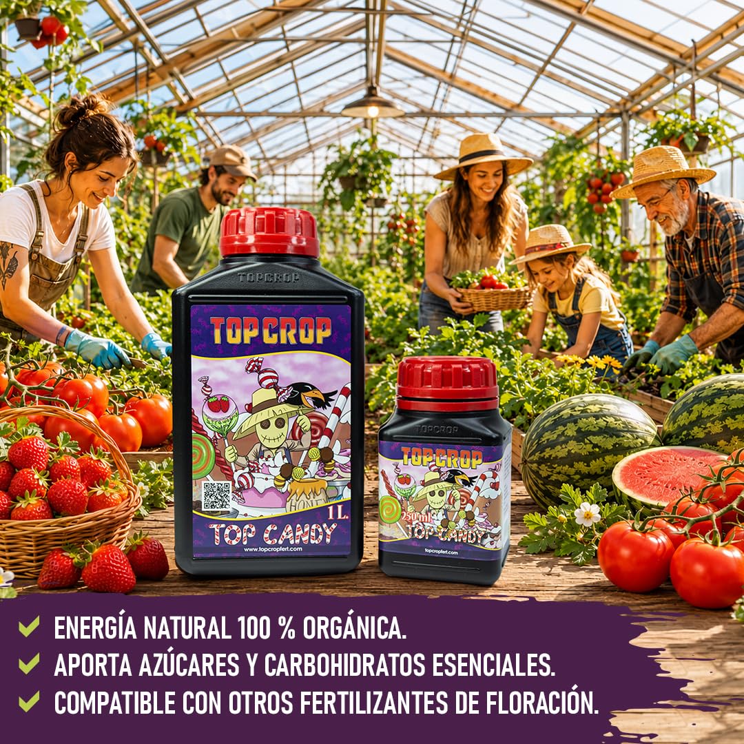 Top Candy 10 L – Fertilizante Orgánico Líquido para Floración, Mejora Aroma, Sabor y Desarrollo de Flores (10 Litros)