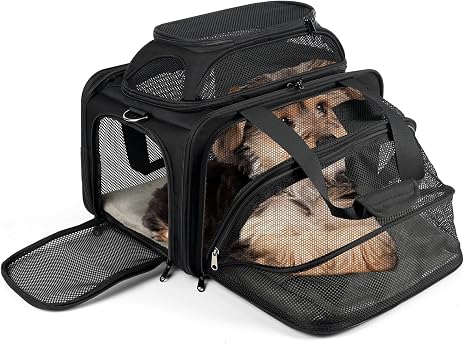 pidipiti 17x11x11 Soft-Sided pet Carrier,for 1 Small Dog or Medium cat | top and 1 side Expandable,for American Delta United Airline ,TSA Approved,with 2 pockets,zipper lock,leakproof,vet visiting