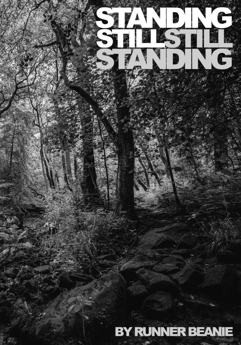 STANDING STILL still standing: Photography saved me from myself