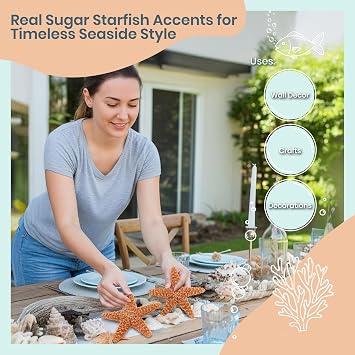 Nautical Crush Trading Real Starfish Decor - 2 Large Brown Sugar Star Fish (6-7in) - Starfish for Crafts - Star Fish Shells Decorations