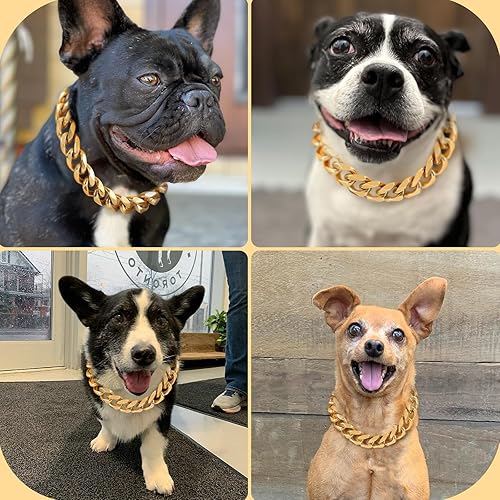 Miniatura 5 de Collar de perro de acero inoxidable dorado de 0.59 pulgadas con cadena de eslabones cubanos resistente a prueba de mordidas, collar de entrenamiento