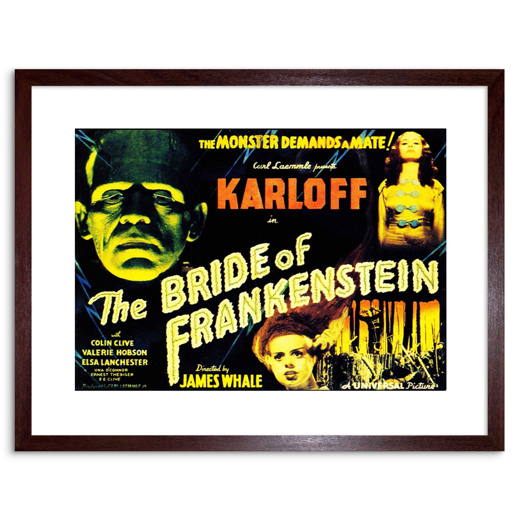 Wee Blue Coo Movie Film Sequel Bride Frankenstein Karloff Whale Horror Framed Wall Art Print