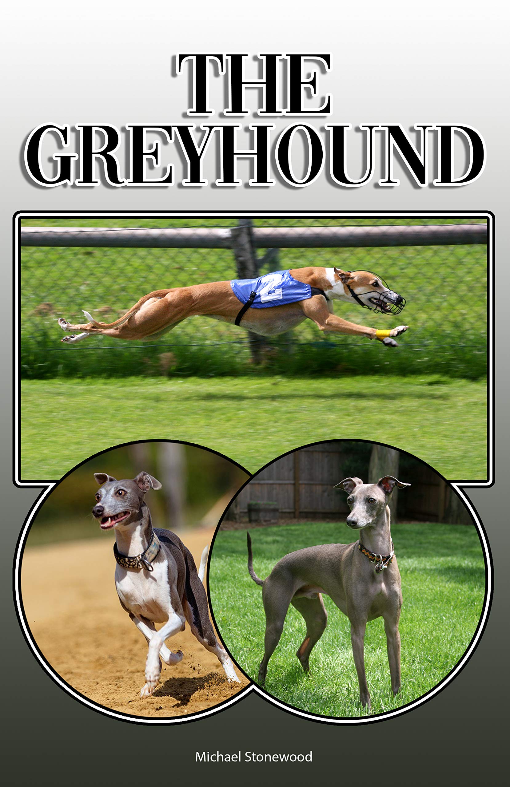 The Greyhound: A Complete and Comprehensive Owners Guide to: Buying, Owning, Health, Grooming, Training, Obedience, Understanding and Caring for Your Greyhound
