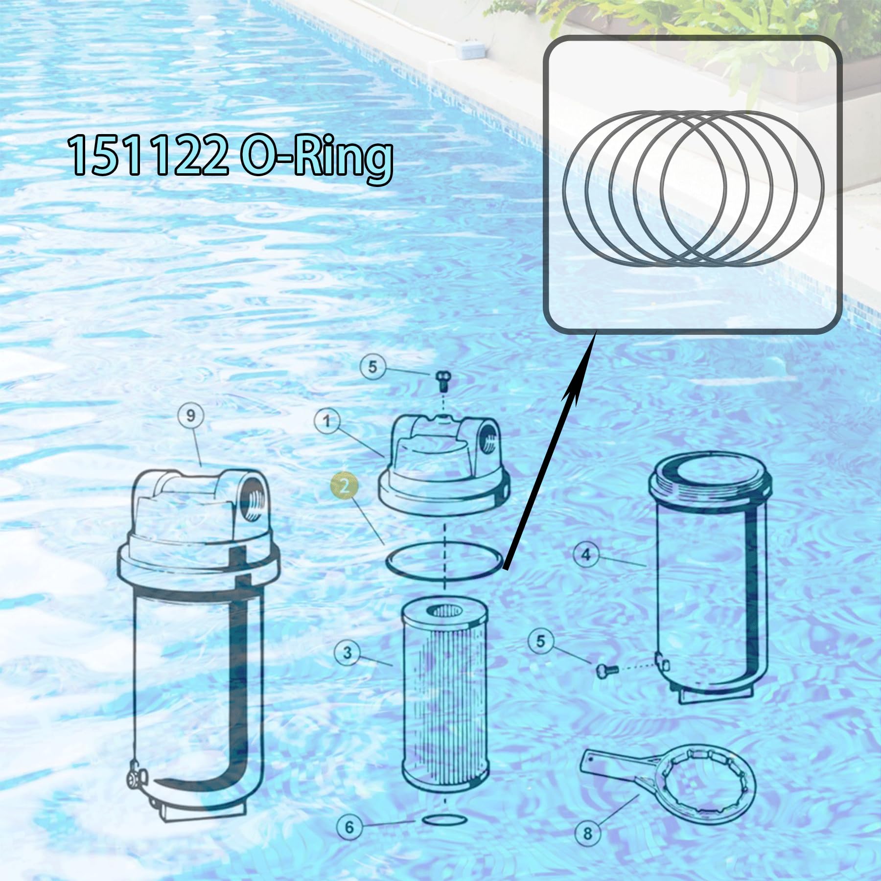 Pentek O-Ring for 10 or 20 Big Blue Housing (151122 Pentek O-Ring for 10 or 20 Big Blue Housing (151122