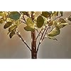 Product Photo 4
