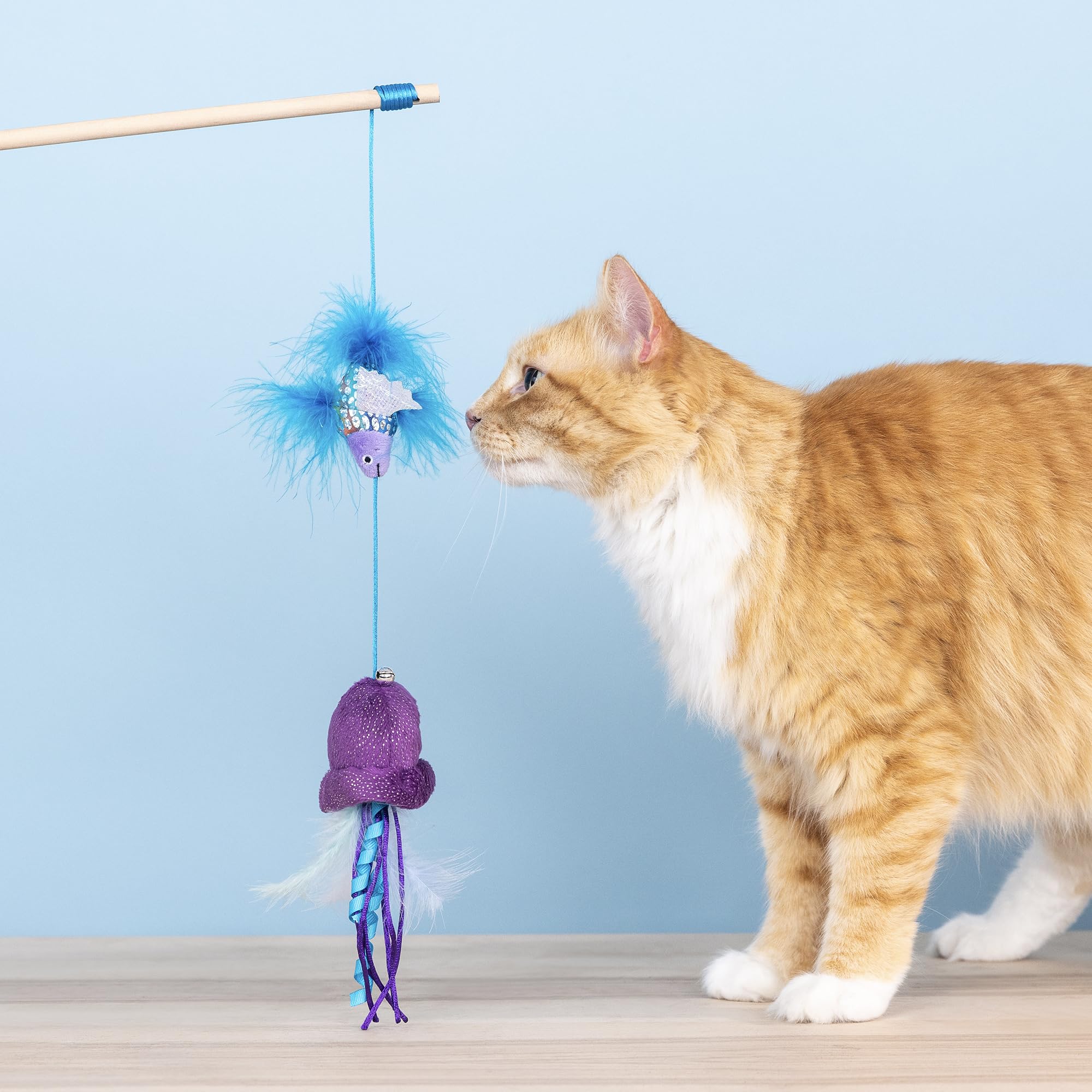 Amazon.com: Fringe Studio Going with THE Tide Teaser Cat Toy, Pet