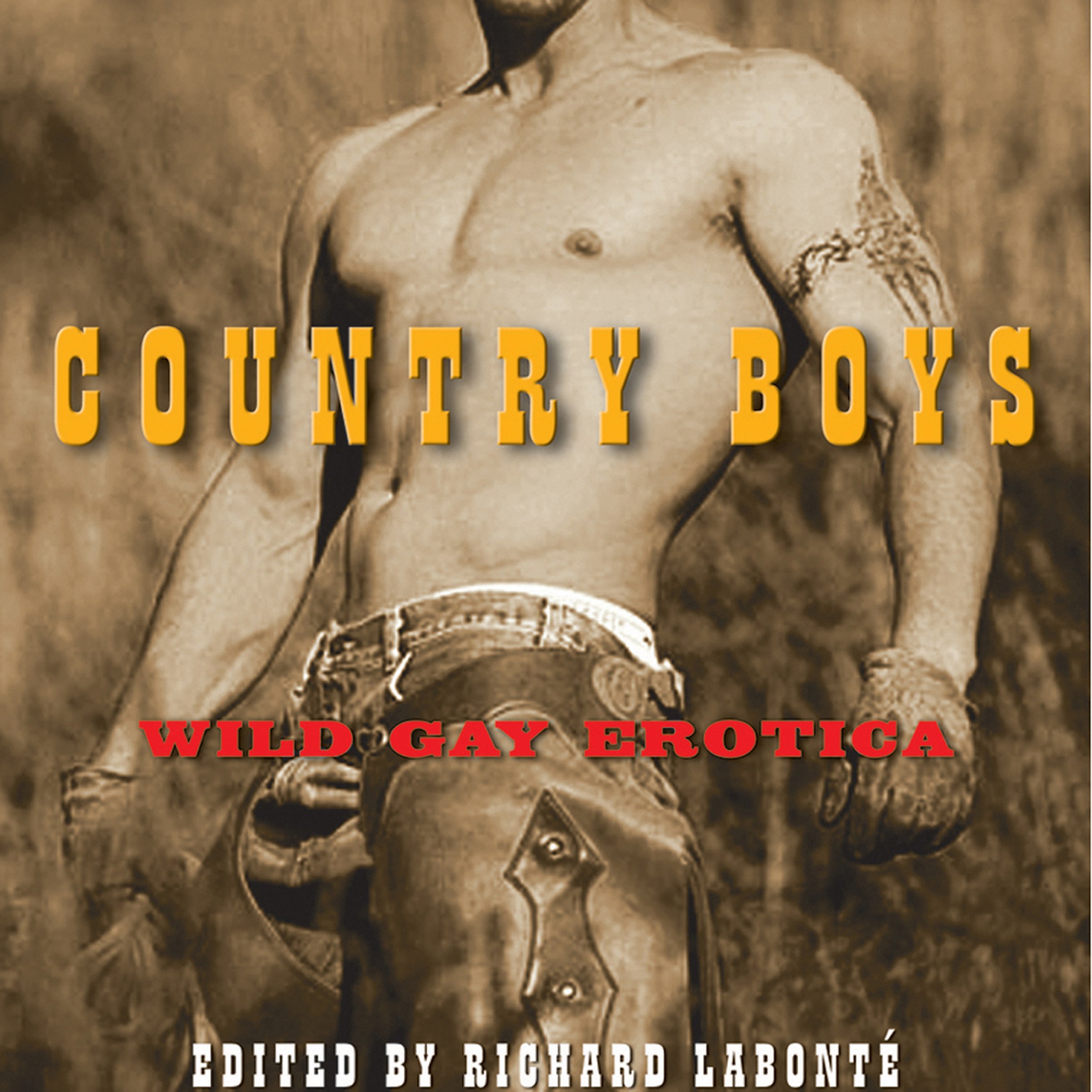 Country Boys: Wild Gay Erotica