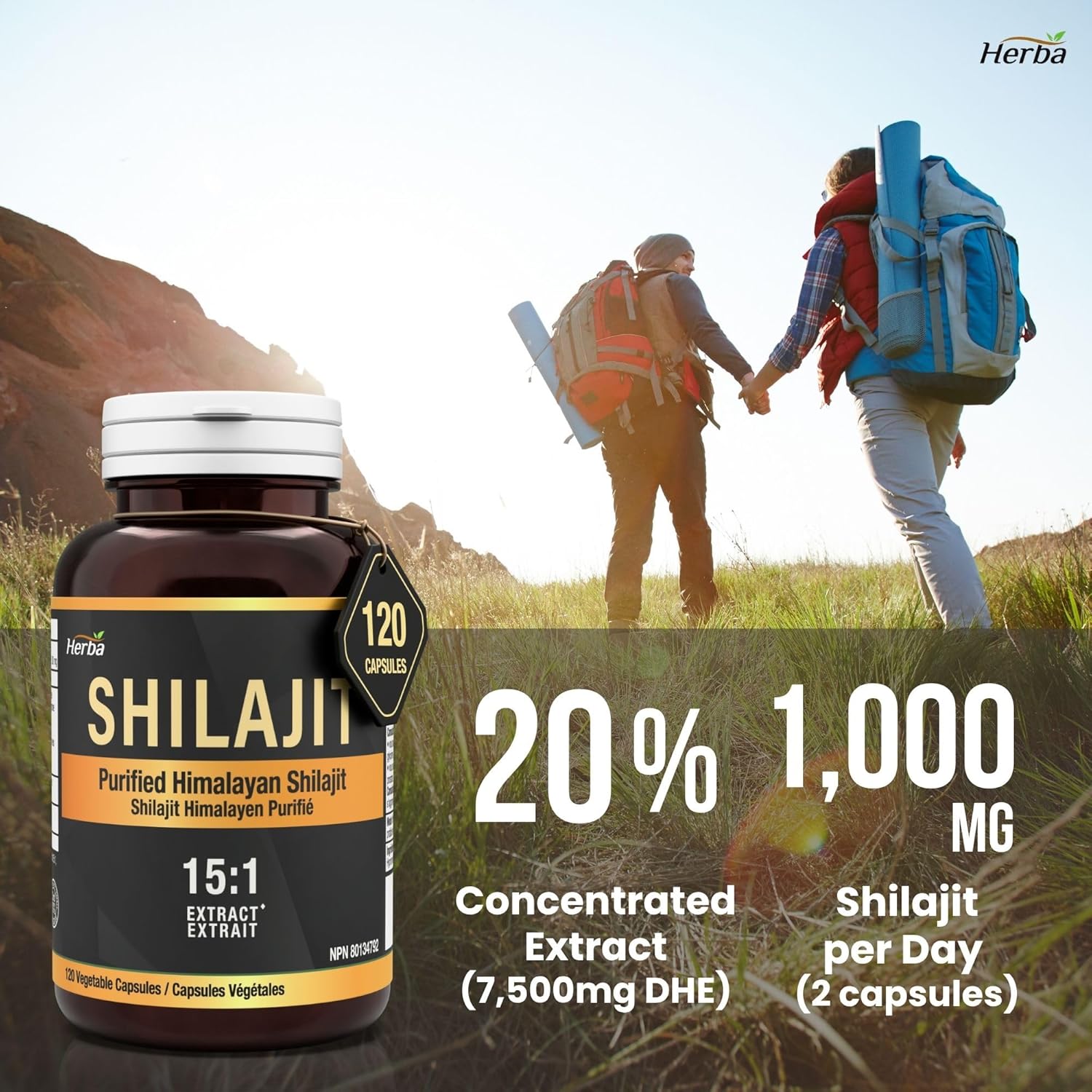 Herba Himalayan Shilajit for Women & Men – 120 Capsules | 15:1 Extract - 15,000mg DHE (7,500mg DHE Each) | 1000mg Serving (500mg Each) | Ultra Pure Shilajit for Men & Women | Fulvic Acid Supplement | Made in Canada - Image 5