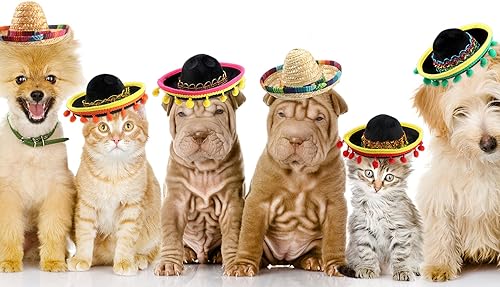 Miniatura 7 de Cagemoga 12 diademas mexicanas para niños, adultos, perros, mascotas