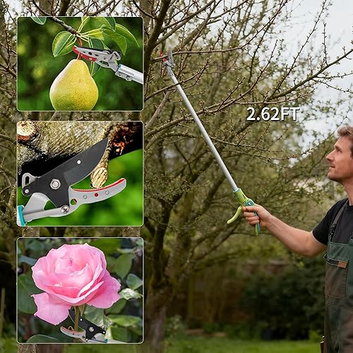 Miniatura 2 de GARTOL Cortar y sujetar podadora de poste, recolector de frutas ligero de 32 pulgadas con mango giratorio de 180, hoja de acero SK5 corta hasta 12