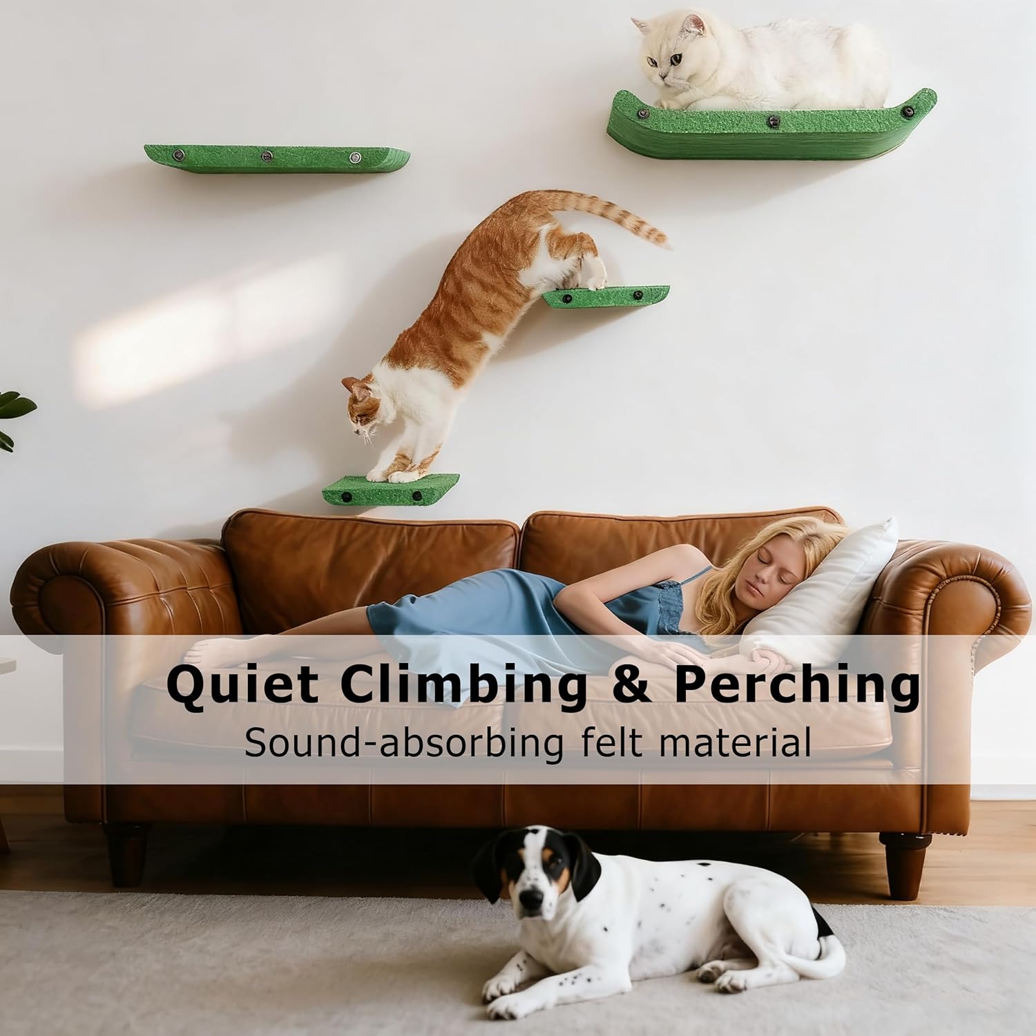 Cat Wall Shelves for Inside,Sound Proof PET Felt Cat Furniture Set,Scratch Resistant Wall Mouted Perch for Kitty Climbing, Sleeping and Lounging (Set of 4-Green)