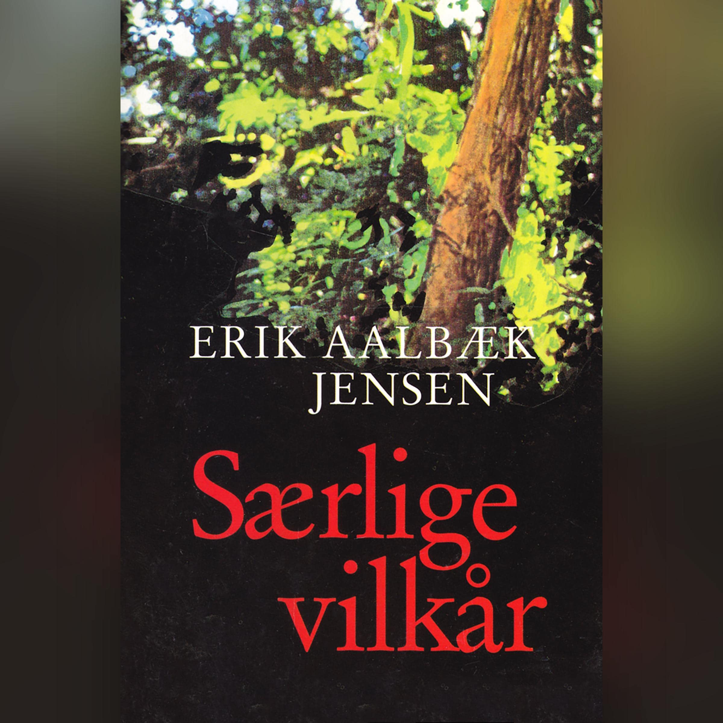 Særlige vilkår