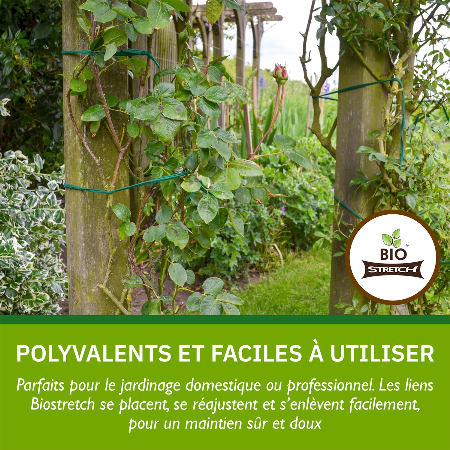 Bio-Stretch Liens de Jardin Souples pour Plantes d’Intérieur et d’Extérieur – Résistants et Extensibles, Ficelle Découpable pour Plantes Grimpantes, Tomates et Jardinage à Domicile (40m / Vert)