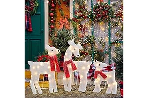 Joliyoou 2D Christmas Yard Decoration