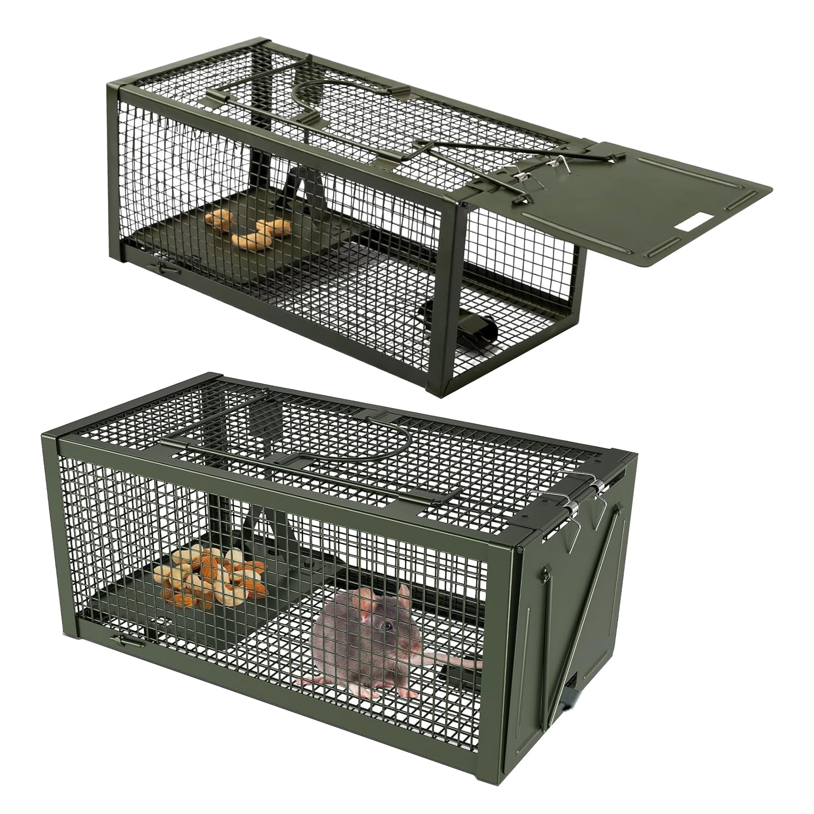 Lebendfalle Mausefalle,Premium Profi Lebendfalle XL: Humane Maus- & Rattenfalle aus Kaltgezogenem Stahldraht – Für Kleine Nagetiere (Mäuse, Wühlmäuse, Feldmäuse) (Green)