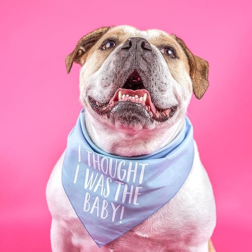 Miniatura 2 de I Thought I was The Baby Baby Announcement - Bandana para perro (rosa bebé, XS 340)