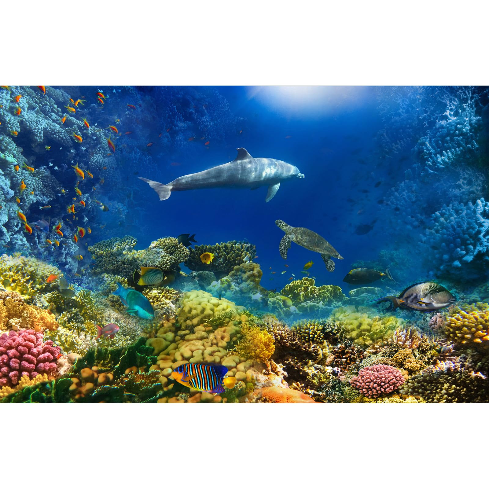 Underwater World Aquarium Background Turtle Shark Tropical Fish Tank Background Under The Sea Colorful Coral Reef Aquarium Backgrounds Deep Blue Sea Sunbeams Tank Backgrounds Poster 36x24in