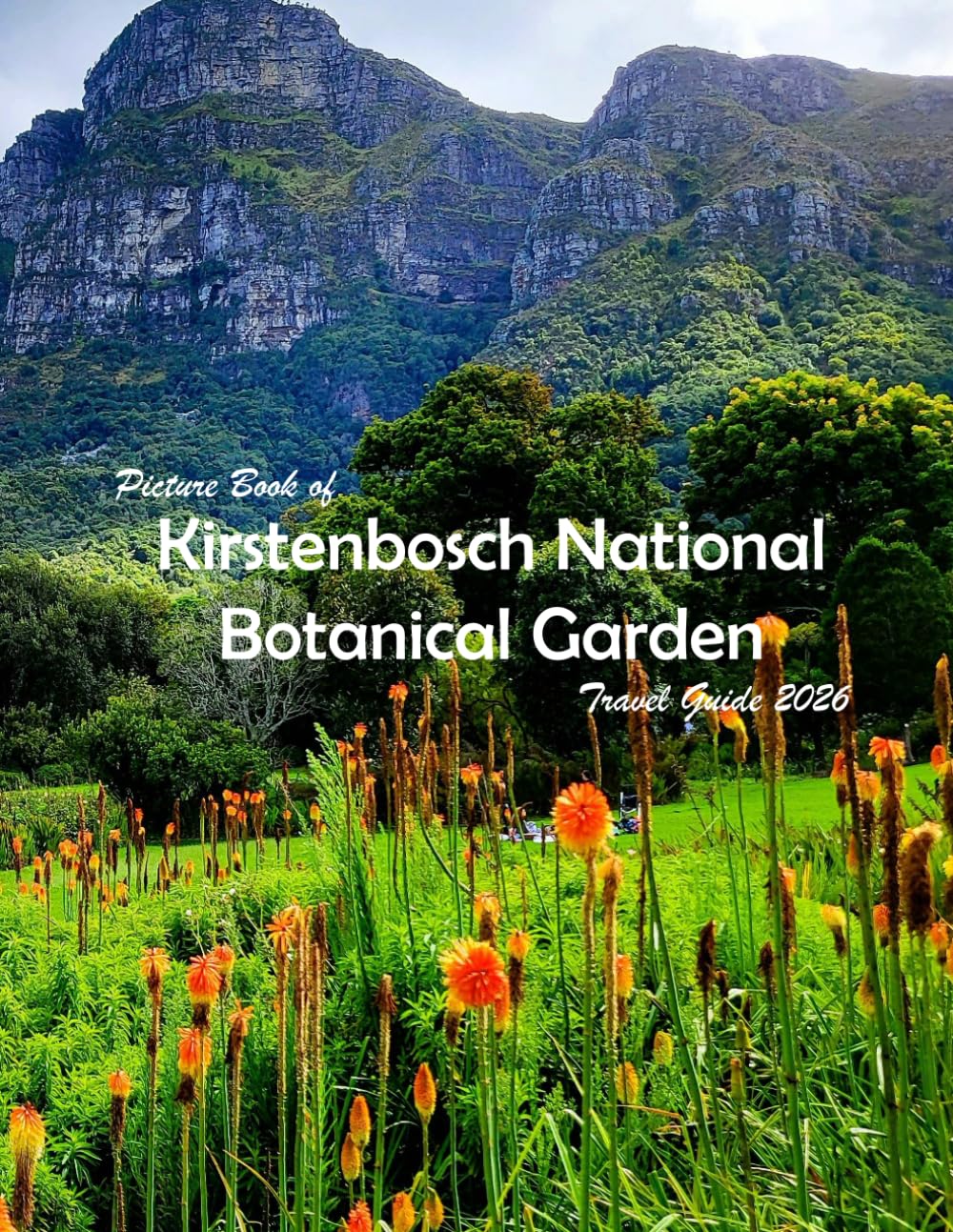 Kirstenbosch National Botanical Garden: A Visual Journey Through Stunning Landmarks, Travel and Nature lovers.
