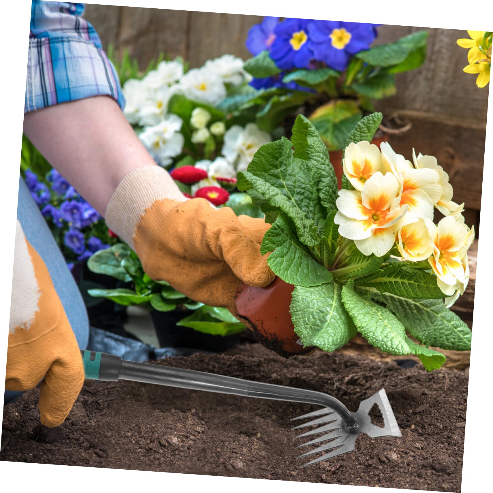 Toddmomy 5stücke Gartenwerkzeug Multifunktionaler Edelstahl Unkrautstecher Leichter Handweeder Mit Zähnen Für Effektives Jäten Und Entfernen Von Wurzeln Für Gartenpflege