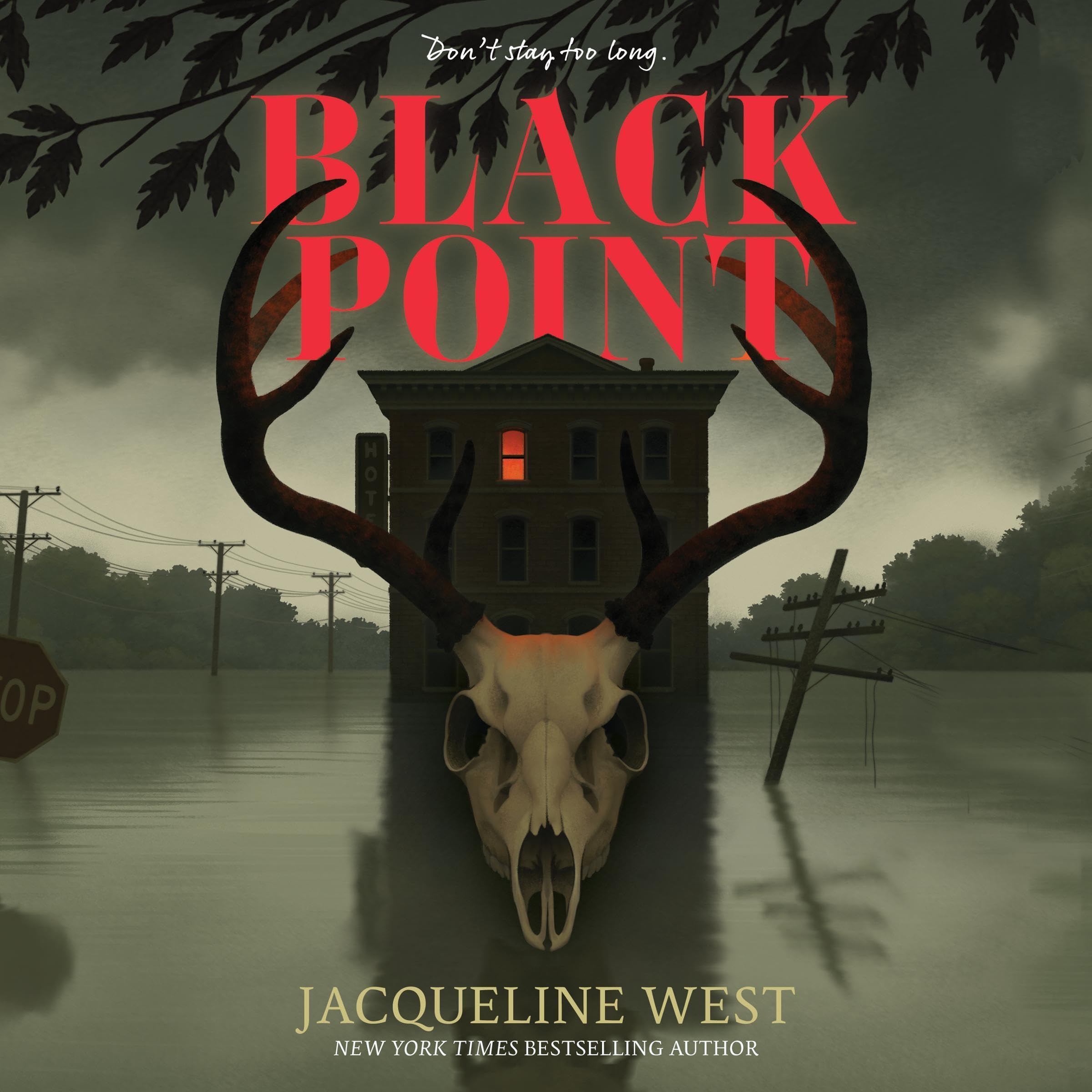 Cover art for Black Point