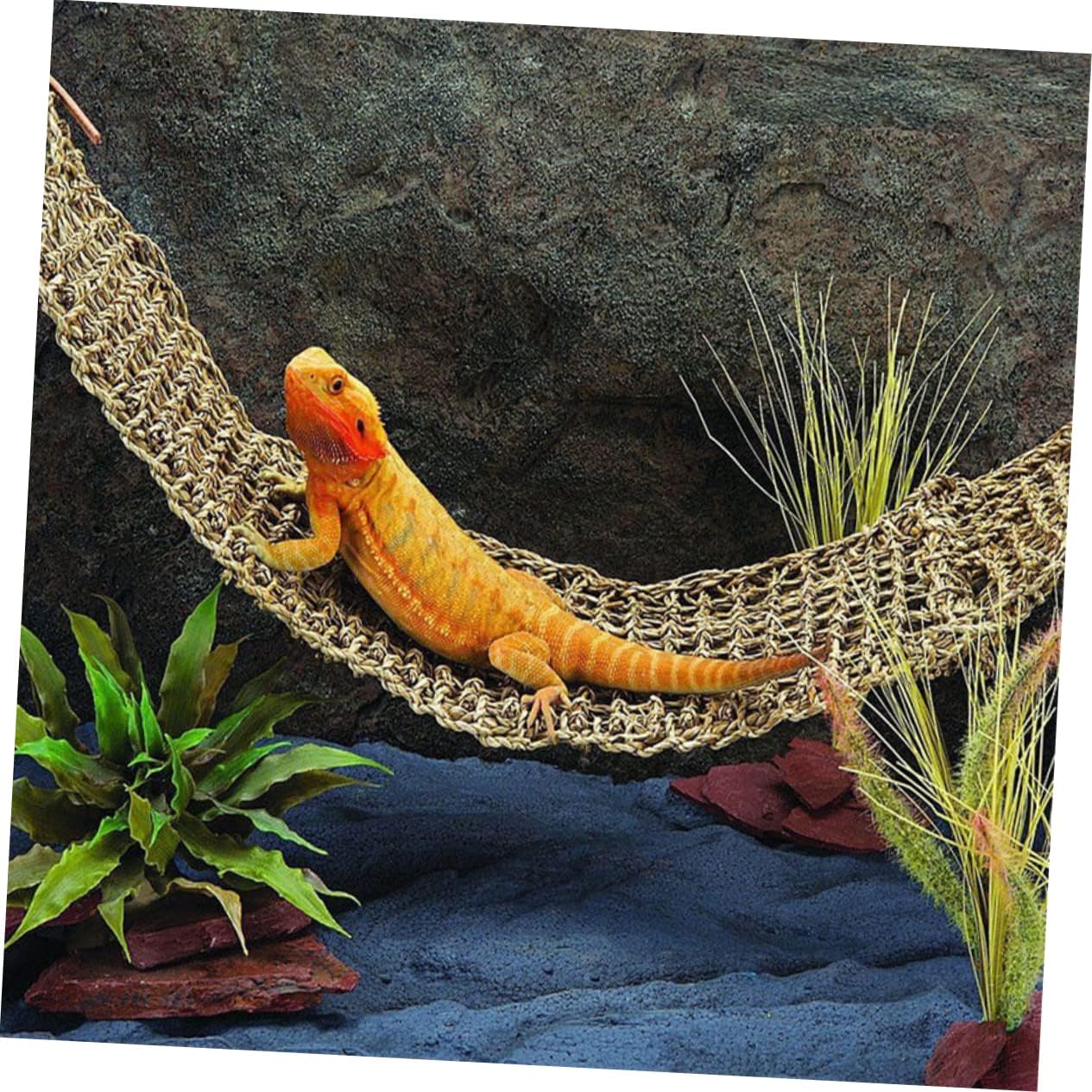 2pcs Reptile Lizard Hammocks Natural Seagrass Pet Beds for Lizards Snakes Geckos Iguanas Compact Hammock Toys Easy to Install Reptile Accessories No Cups