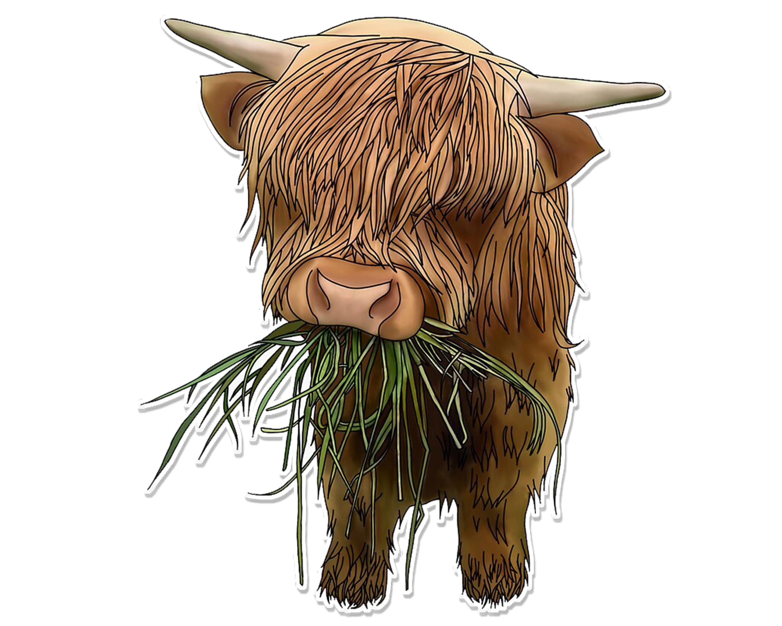 Pack of 4 Highland Cow Vinyl Decal Sticker Car Wall Laptop Scrapbook Campervan Caravan Bumper Sticker Window