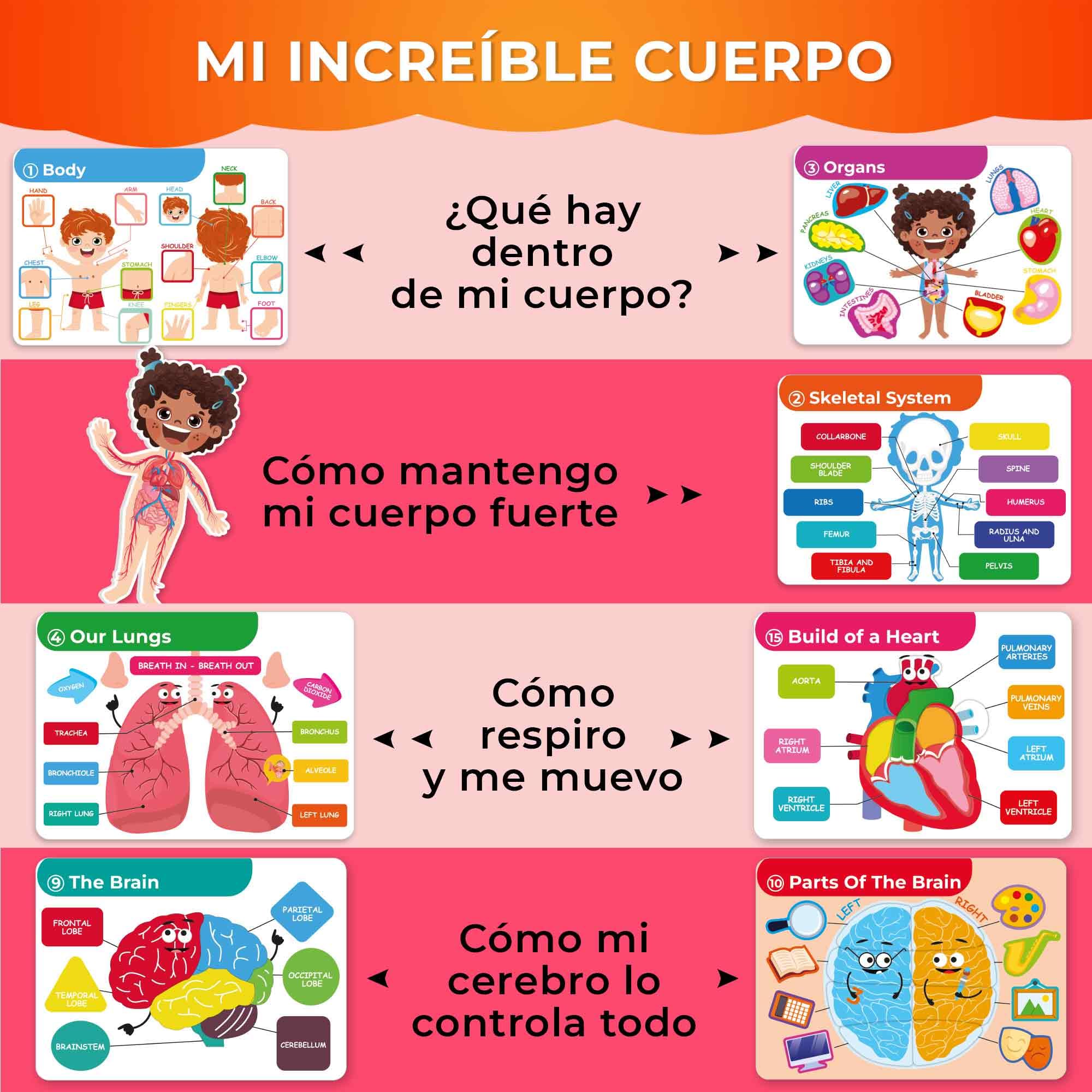 QUOKKA Busy Board Montessori 1 2 Año - Versión Inglés - Libro Sensorial Bebe con 15 Temas sobre el Cuerpo Humano - Busy Book Juegos Montessori 3 4 Años - Regalo Educativo para Niños y Niñas