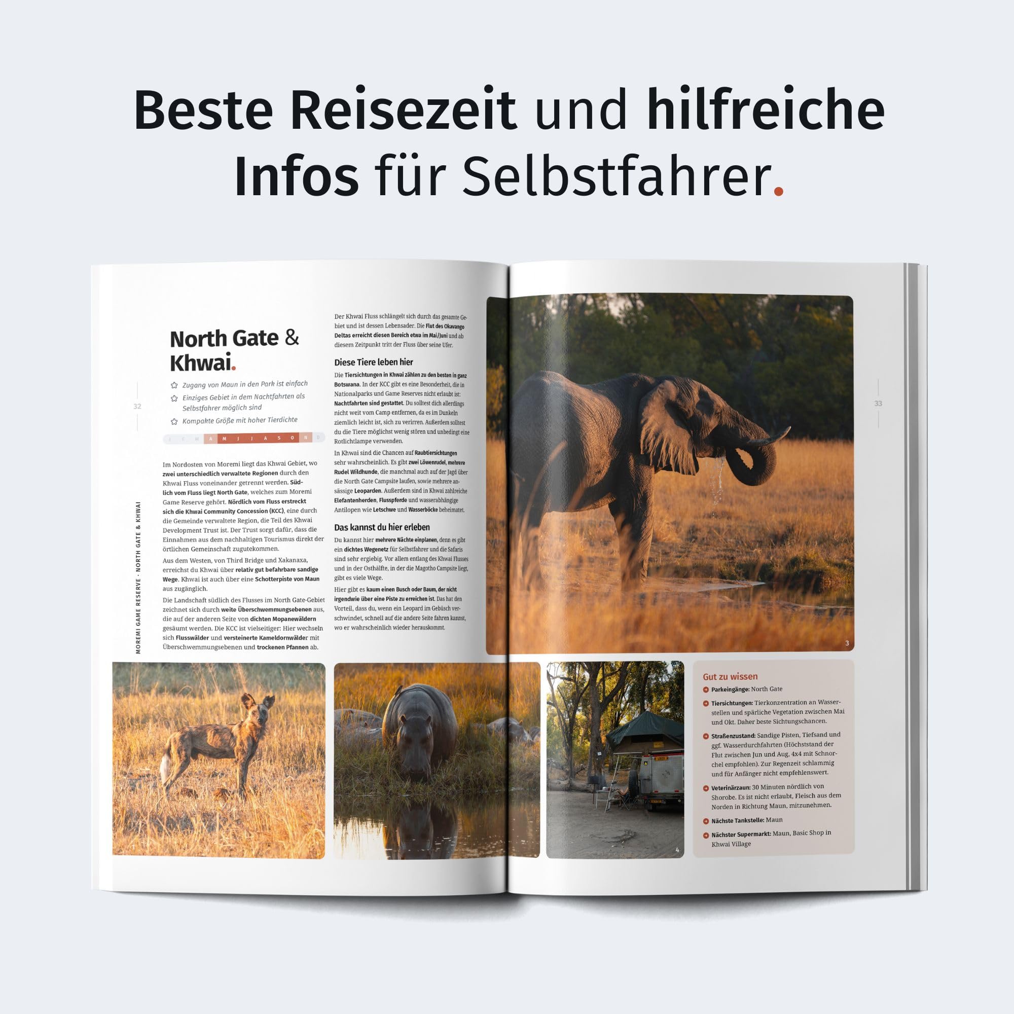 WILDFUL STORIES Wildlife Reiseführer Botswana mit Okavango Delta: Dein ultimativer Safari-Guide für unvergessliche Tierbeobachtungen als Selbstfahrer (inkl. Karten und App)