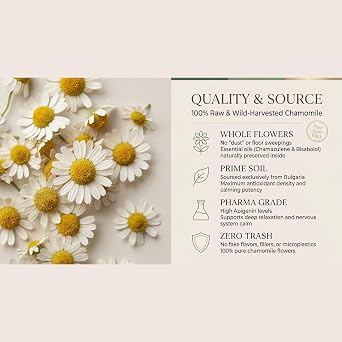 Chamomile – 20 Tea Bags – Soothing Herbal Tea for Relaxation, Gentle Digestive Comfort & Naturally Calming Sleep | 100% Pure Traditionally Harvested