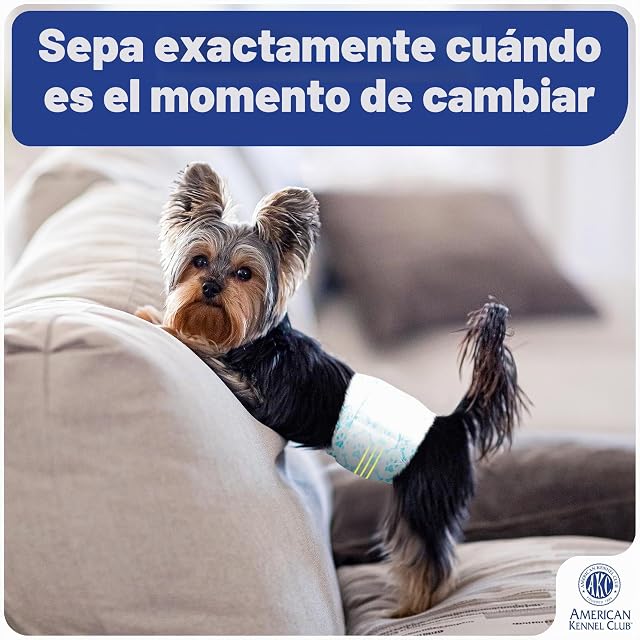 Foto 4 de 8 de American Kennel Club Pañales Desechables para Perros machos, con indicador de Humedad, Grande, 50 Unidades