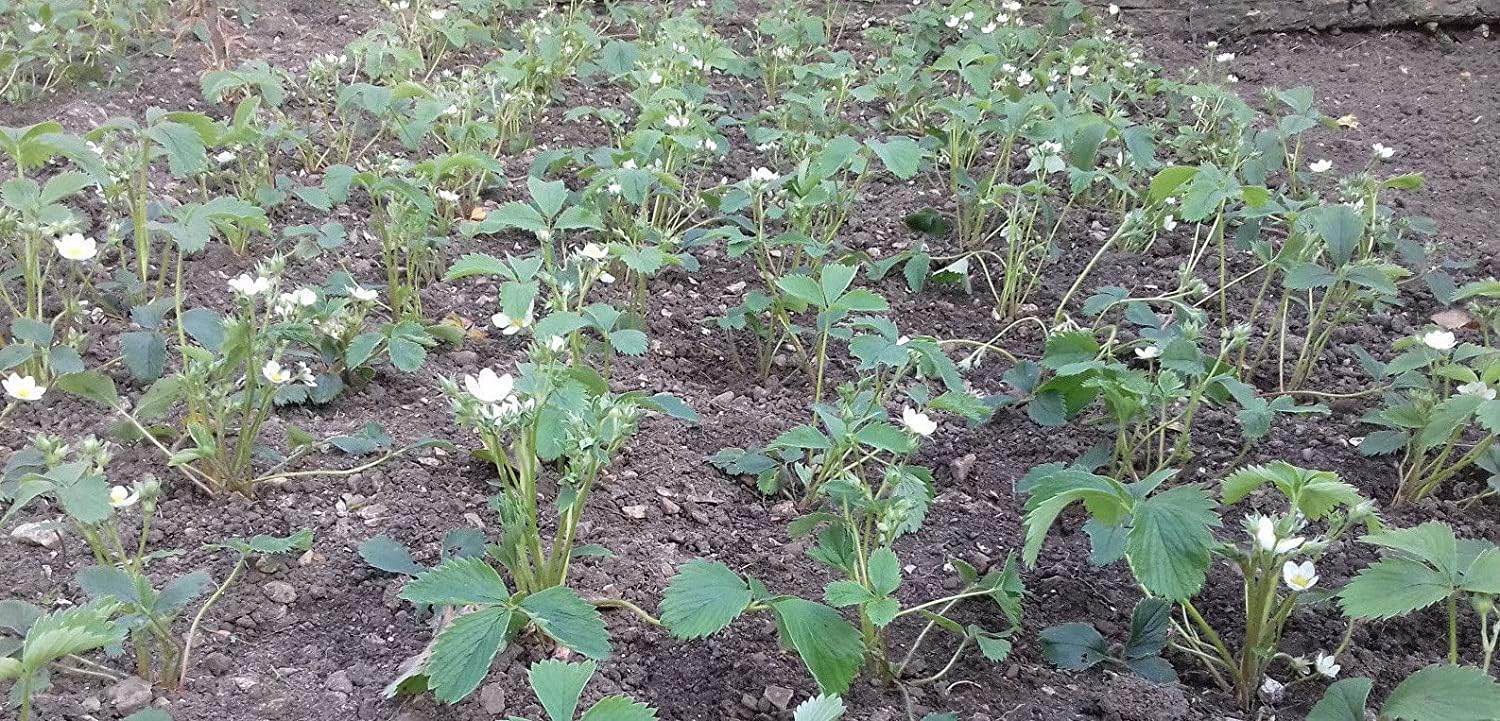 View 5
